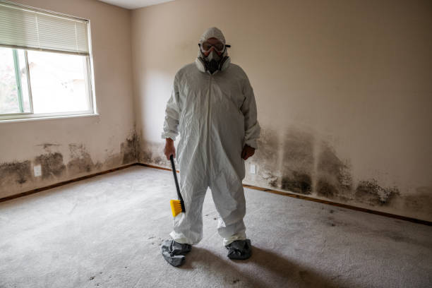 Best Office Mold Removal Services  in Wren, AR